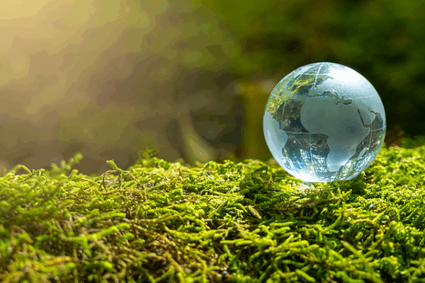 Global_Survey_Urges_Climate_Action_as_Paris_Pact_Hits_Decade_Mark