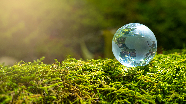 Global_Survey_Urges_Climate_Action_as_Paris_Pact_Hits_Decade_Mark