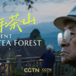 Guardians_of_Jingmai_Mountain__China_s_Tea_Heritage_Thrives_in_2025 video poster