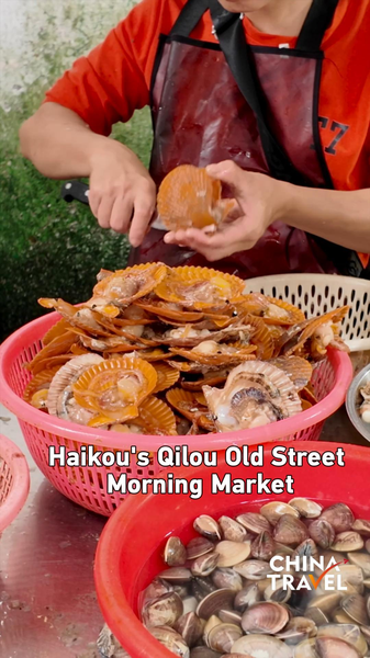 Haikou_s_Qilou_Old_Street__Where_Tradition_Meets_Global_Flavor video poster