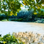 Haikou_s_Wuyuanhe_Wetland_Park_Emerges_as_Ecological_Sanctuary video poster