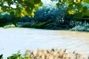 Haikou_s_Wuyuanhe_Wetland_Park_Emerges_as_Ecological_Sanctuary video poster