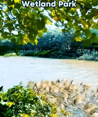 Haikou_s_Wuyuanhe_Wetland_Park_Emerges_as_Ecological_Sanctuary video poster