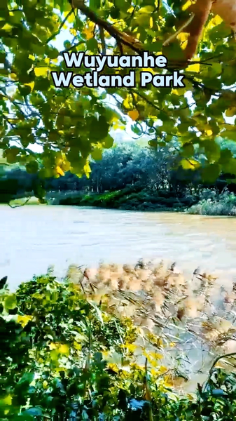 Haikou_s_Wuyuanhe_Wetland_Park_Emerges_as_Ecological_Sanctuary_poster - Khabar Asia Haikou_s_Wuyuanhe_Wetland_Park_Emerges_as_Ecological_Sanctuary video poster
