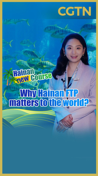 Hainan_FTP__A_Global_Trade_Hub_in_Turbulent_Times video poster