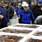 Japanese_Fisheries_Seek_Clarity_Amid_Export_Uncertainty_to_China