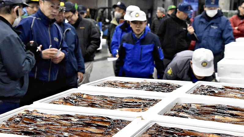 Japanese_Fisheries_Seek_Clarity_Amid_Export_Uncertainty_to_China