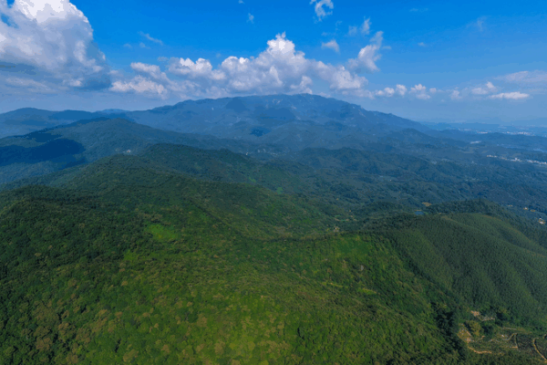 Luofu_Mountain__Where_China_s_National_Games_Meet_Ancient_Taoist_Heritage video poster