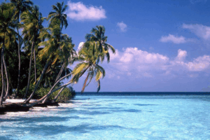 Maldives_Enacts_Historic_Generational_Smoking_Ban_to_Foster_Healthier_Future