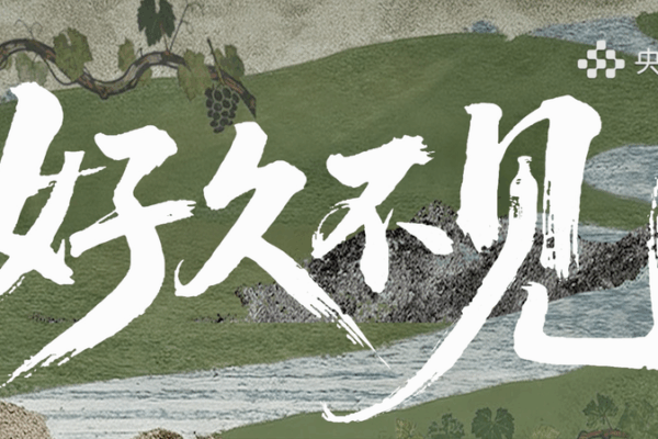 New_Documentary_Talk_Show__Long_Time_No_See__Explores_Modern_China video poster