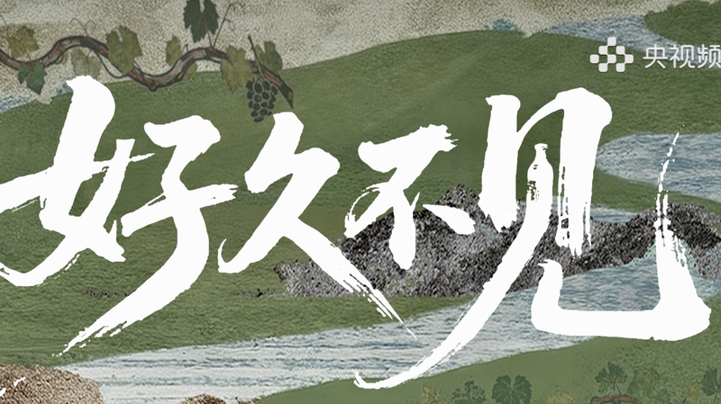 New_Documentary_Talk_Show__Long_Time_No_See__Explores_Modern_China video poster