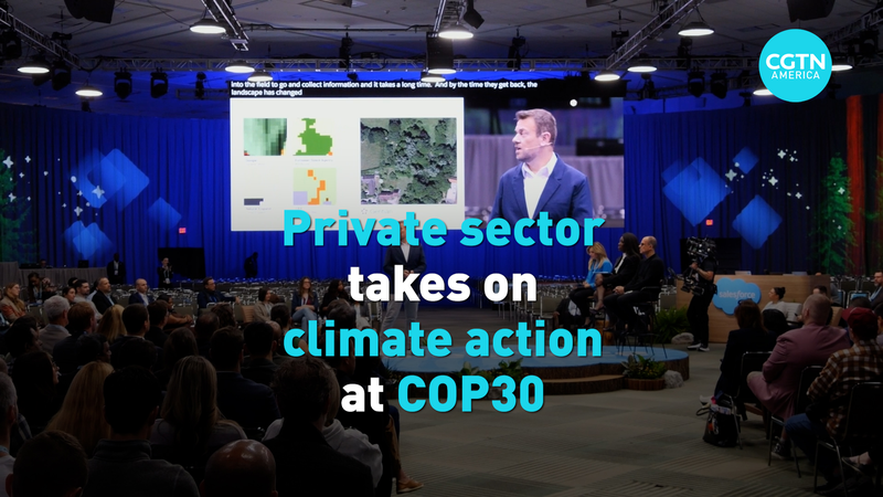 Private_Sector_Leads_Climate_Innovation_at_COP30_Summit