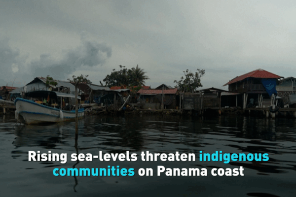 Rising_Seas_Force_Panama_s_Guna_Community_to_Relocate video poster