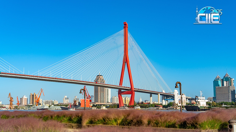 Shanghai_s_Yangpu_Riverfront__Where_Industrial_Heritage_Meets_Urban_Serenity video poster