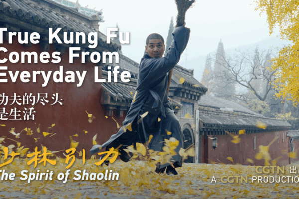 Shaolin_Kung_Fu__Ancient_Wisdom_in_Daily_Life video poster
