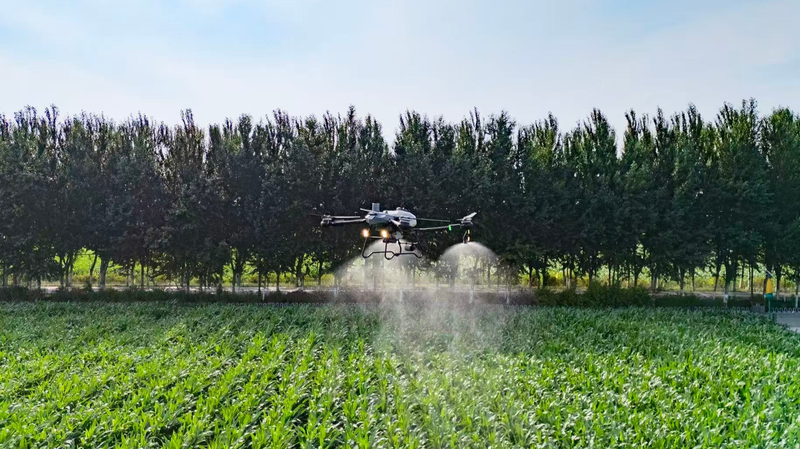 Smart_Farming_Drives_China_s_Agricultural_Boom_in_2025 - Khabar Asia Smart_Farming_Drives_China_s_Agricultural_Boom_in_2025