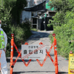 South_Korea_Intensifies_African_Swine_Fever_Measures_Amid_New_Outbreak - Khabar Asia South_Korea_Intensifies_African_Swine_Fever_Measures_Amid_New_Outbreak