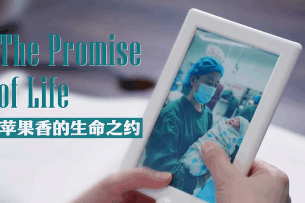 Suzhou_to_Xinjiang__A_Lifeline_of_Hope_and_Life_in_China_s_Frontier video poster