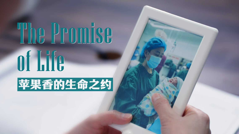 Suzhou_to_Xinjiang__A_Lifeline_of_Hope_and_Life_in_China_s_Frontier video poster