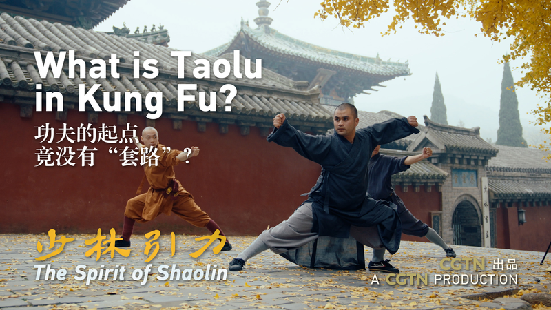 Taolu_in_Shaolin_Kung_Fu__Bridging_Ancient_Combat_and_Modern_Mastery video poster