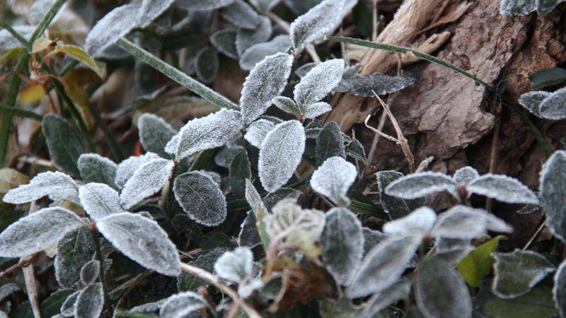 Triple_Cold_Snaps_Grip_China__Widespread_Snow__Wind_Forecast - Khabar Asia Triple_Cold_Snaps_Grip_China__Widespread_Snow__Wind_Forecast