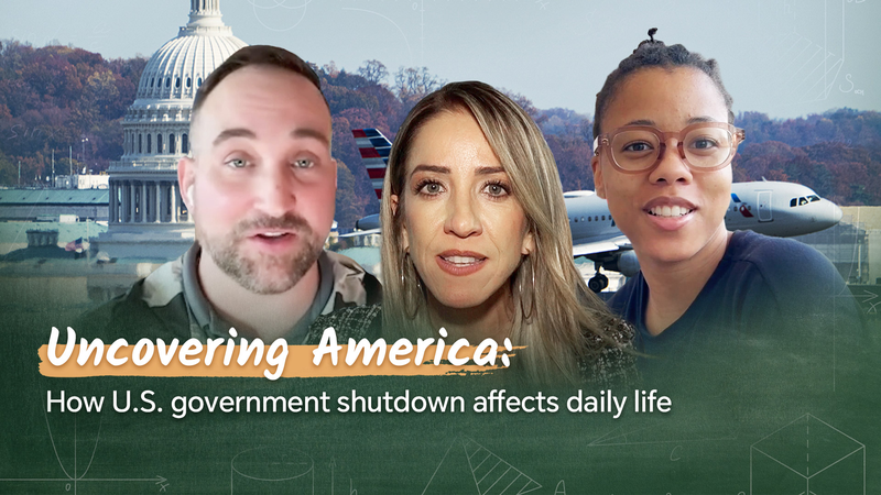 U_S__Government_Shutdown_Disrupts_Daily_Life__Aviation_Crisis_Deepens video poster