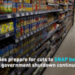 U_S__Government_Shutdown_Threatens_Food_Aid_for_40_Million_Families video poster