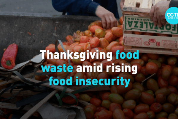 U_S__Thanksgiving_Waste_Highlights_Food_Bank_Struggles_in_2025 video poster