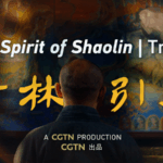 Unveiling_Shaolin__Where_Martial_Arts_Meet_Inner_Peace video poster