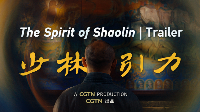 Unveiling_Shaolin__Where_Martial_Arts_Meet_Inner_Peace video poster
