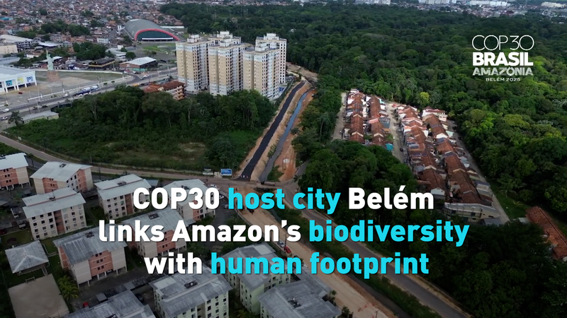Belém Hosts COP30: Balancing Climate Action and Local Challenges video poster