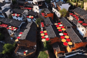 Wuyuan_Autumn__Vibrant_Harvest_Meets_Timeless_Huizhou_Charm video poster