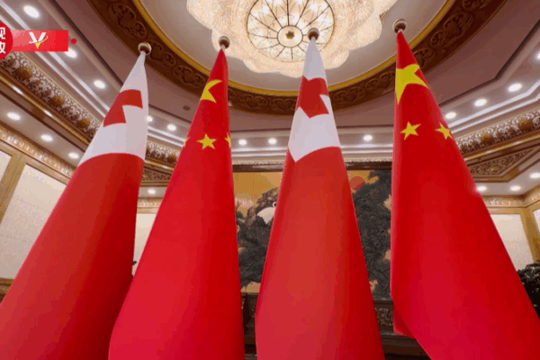 Xi_Jinping_Holds_Talks_with_Tonga_s_King_Tupou_VI_in_Beijing