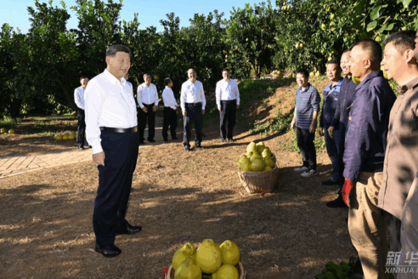 Xi_Jinping_Visits_Meizhou_to_Boost_Rural_Revitalization__Cultural_Heritage