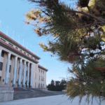 Xi_Jinping_Welcomes_Tonga_s_King_in_Beijing_Ceremony