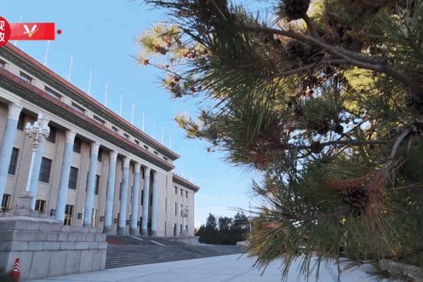 Xi_Jinping_Welcomes_Tonga_s_King_in_Beijing_Ceremony