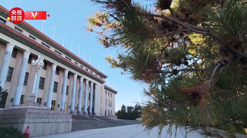 Xi_Jinping_Welcomes_Tonga_s_King_in_Beijing_Ceremony