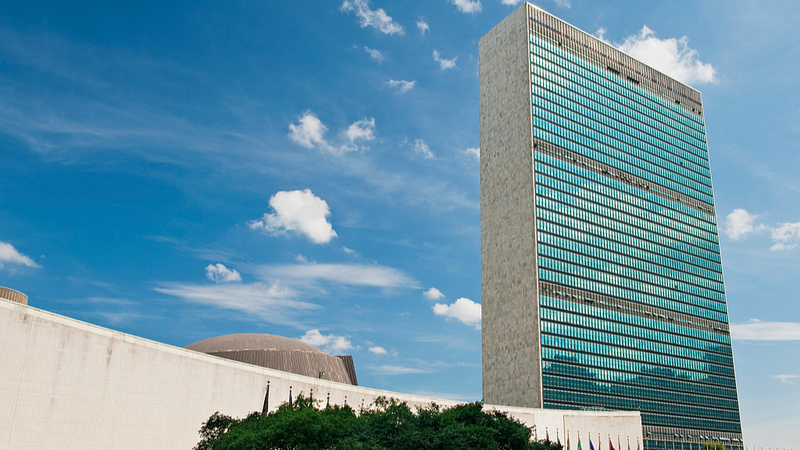 Xi_Reaffirms_China_s_Solidarity_with_Palestinian_People_on_UN_Day