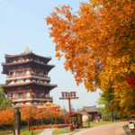 Xi_an_s_Tang_Paradise_Illuminated_by_Autumn_Splendor