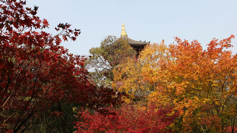 Xi_an_s_Xingqinggong_Park_Dazzles_with_Autumn_Splendor