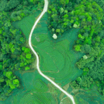 Xi_s_Eco_Civilization_Vision_Gains_Global_Recognition_at_2025_Chengdu_Summit - Khabar Asia Xi_s_Eco_Civilization_Vision_Gains_Global_Recognition_at_2025_Chengdu_Summit