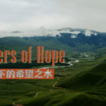 Xinjiang_Village_Revives_Economy_With_Reservoir_Project video poster