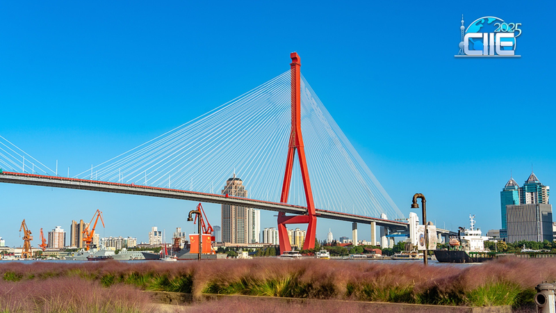 Shanghai’s Yangpu Riverfront: Where Industrial Heritage Meets Urban Serenity video poster