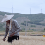 Yang_Du_Champions_Cross_Strait_Cultural_Unity_Through_Literature video poster