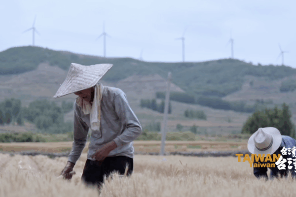 Yang_Du_Champions_Cross_Strait_Cultural_Unity_Through_Literature video poster