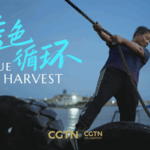 Zhejiang_s__Blue_Circle__Initiative_Transforms_Ocean_Plastic_into_Opportunity video poster