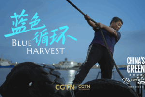 Zhejiang_s__Blue_Circle__Initiative_Transforms_Ocean_Plastic_into_Opportunity video poster