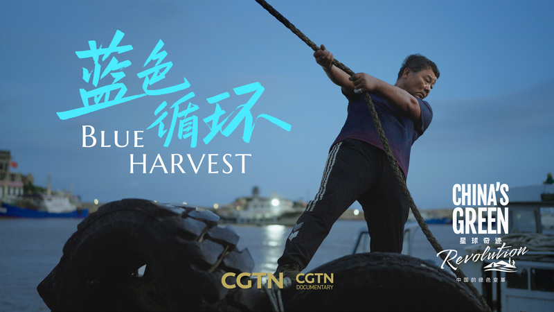 Zhejiang_s__Blue_Circle__Initiative_Transforms_Ocean_Plastic_into_Opportunity video poster