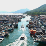 Savoring Danjia Heritage: Hainan’s Floating Culinary Treasures