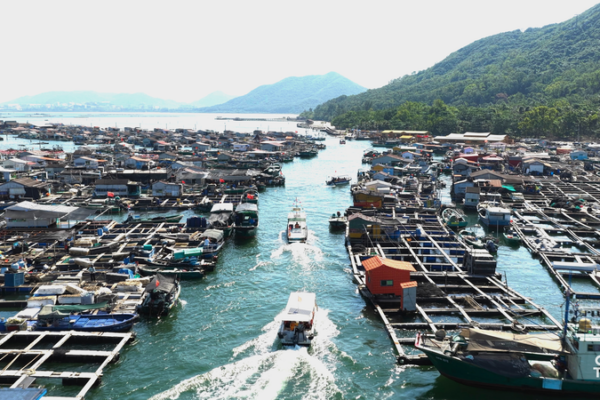 Savoring Danjia Heritage: Hainan’s Floating Culinary Treasures